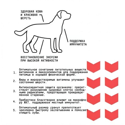 AJO Dog Medium Adult Сухой корм для взрослых собак средних пород говядина с гречкой  2 кг.