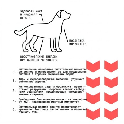 AJO Dog Medium Adult Сухой корм для взрослых собак средних пород говядина с гречкой 12 кг.