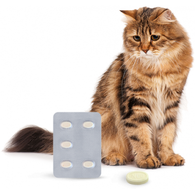 Контрсекс Neo таблетки для кошек и сук для регуляции половой охоты 10 таб.