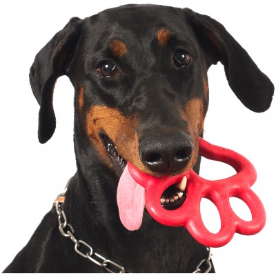 Bama Pet игрушка для собак ORMA 15см, резина, цвета в ассортименте