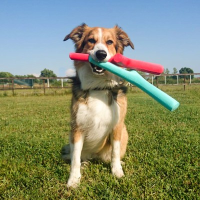 Bama Pet игрушка для собак палочка TUTTO MIO 37см, резиновая, цвета в ассортименте