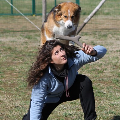 Bama Pet игрушка для собак палочка TUTTO MIO 37см, резиновая, цвета в ассортименте
