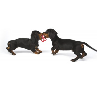 Bama Pet игрушка для собак ORMA MINI 8см, резина, цвета в ассортименте