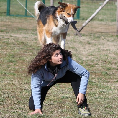 Bama Pet игрушка для собак палочка TUTTO MIO 37см, резиновая, цвета в ассортименте