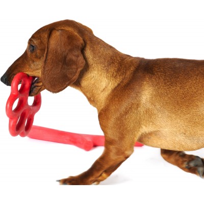 Bama Pet игрушка для собак ORMA 15см, резина, цвета в ассортименте