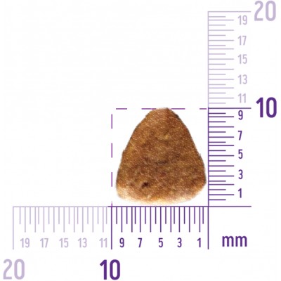 CORE Сухой корм для взрослых собак средних и крупных пород из лосося с тунцом 10 кг.