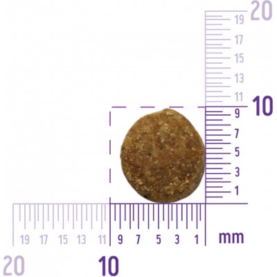 CORE Сухой корм для стерилизованных кошек и кастрированных котов из лосося 300 гр.