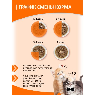 Cat Lunch Корм для кошек в пауче «Кусочки в желе с говядиной и бараниной» 85 г.