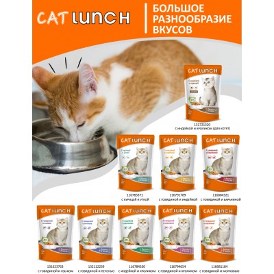 Cat Lunch Корм для кошек в пауче «Кусочки в желе с говядиной и бараниной» 85 г.