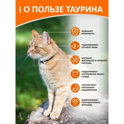 Cat Lunch Корм для кошек в пауче «Кусочки в желе с говядиной и бараниной» 85 г.