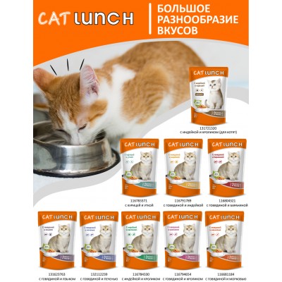 Cat Lunch Корм для кошек в пауче «Кусочки в соусе с говядиной и индейкой» 85 г.