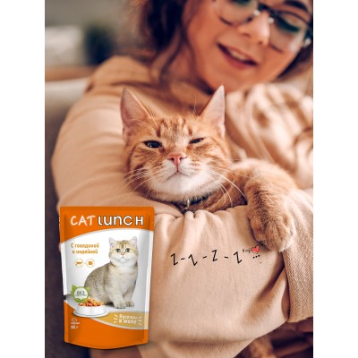 Cat Lunch Корм для кошек в пауче «Кусочки в соусе с говядиной и индейкой» 85 г.