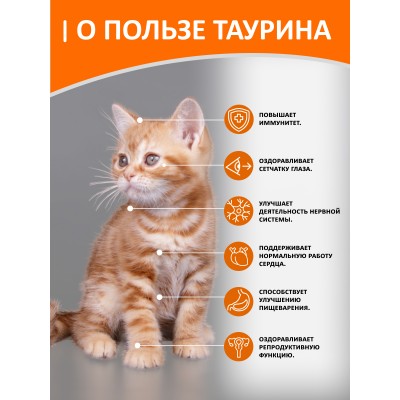 Cat Lunch Корм для котят в пауче «Кусочки в желе с индейкой и курицей» 85 г.