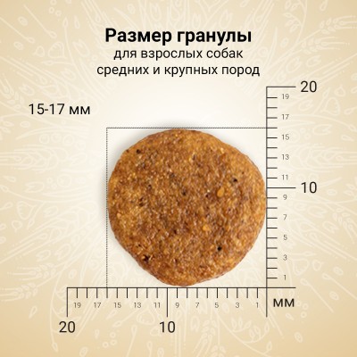 Craftia NATURA Сухой корм для взрослых собак средних и крупных пород из ягненка с перепелкой 640 гр.