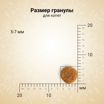 Craftia Harmona Сухой корм для котят из курицы и рыбы 320 гр.