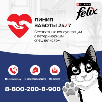 Felix Sensations Влажный корм Супервкус для кошек со вкусом индейки и ягод в желе 75 гр