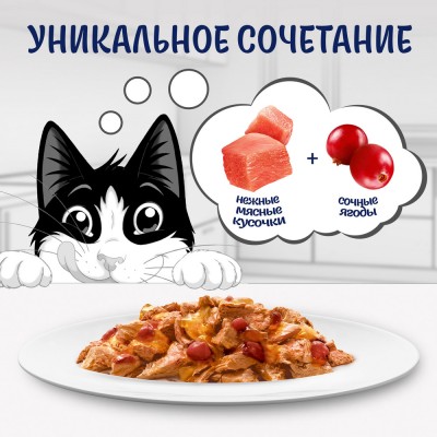 Felix Sensations Влажный корм Супервкус для кошек со вкусом индейки и ягод в желе 75 гр