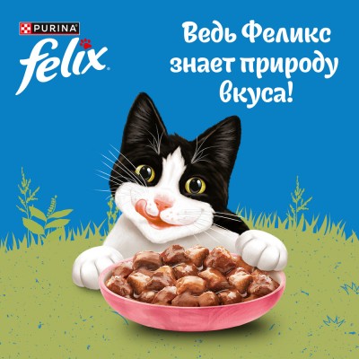 FELIX® Влажный корм Природа вкуса для взрослых кошек с лососем в соусе 75 гр