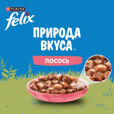 FELIX® Влажный корм Природа вкуса для взрослых кошек с лососем в соусе 75 гр