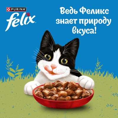 FELIX® Влажный корм Природа вкуса для взрослых кошек с говядиной в соусе 75 гр