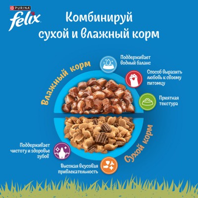 Felix Природа вкуса пауч влажный  корм для взрослых кошек, с курицей 75 гр.
