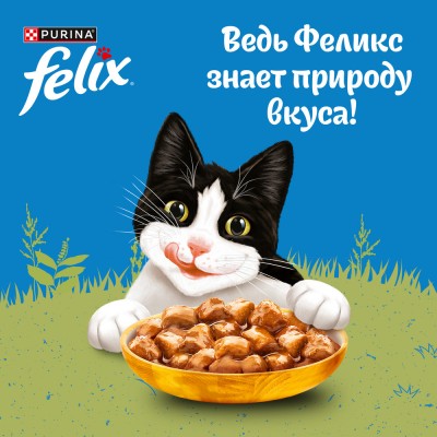 FELIX® Влажный корм Природа вкуса для взрослых кошек с курицей в соусе 75 гр