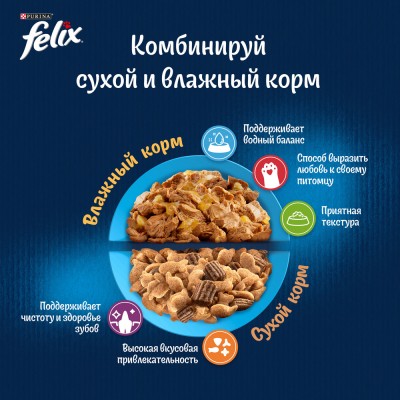 FELIX® Влажный корм Аппетитные кусочки для котят с курицей в желе 75 гр