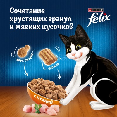 Felix Сухой корм Двойная вкуснятина для взрослых кошек с птицей 600 гр