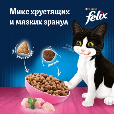 Felix Сухой корм Двойная вкуснятина для котят до года с курочкой 600 гр