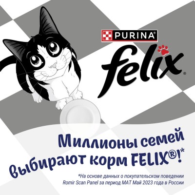 FELIX® Влажный корм Суп для взрослых кошек с курицей 48 гр