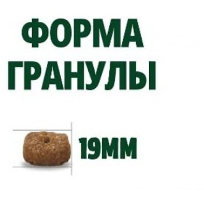 Guabi Natural Dog LIGHT cухой корм низкокалорийный для взрослых собак средних и крупных пород индейка и овёс 12 кг.