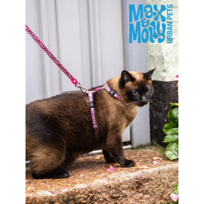 Max & Molly Комплект для кошек шлейка и поводок, Розовый леопард