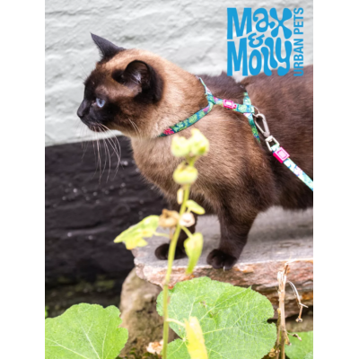 Max & Molly Комплект для кошек шлейка и поводок, Тропики