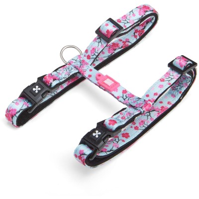 Max & Molly Комплект для кошек шлейка и поводок, Сакура