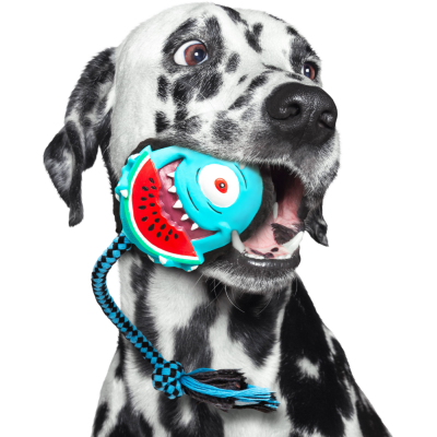 Max&Molly Комбинированная игрушка Буба Кинг