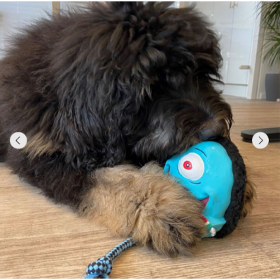 Max&Molly Комбинированная игрушка Буба Кинг