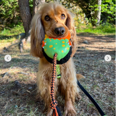 Max&Molly Комбинированная игрушка Динозаврик Отто