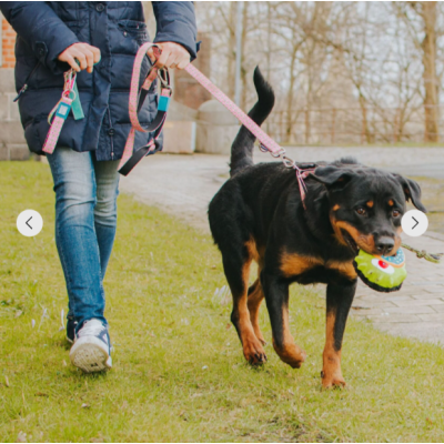 Max&Molly Комбинированная игрушка Клякса Боб