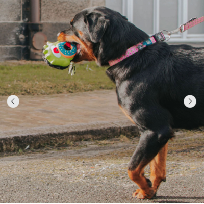 Max&Molly Комбинированная игрушка Клякса Боб