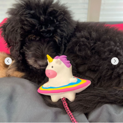 Max&Molly Комбинированная игрушка Единорожка Майки