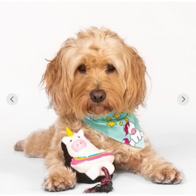 Max&Molly Комбинированная игрушка Единорожка Майки