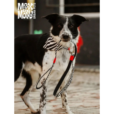 Max & Molly Ошейник для собак Smart ID зебра L