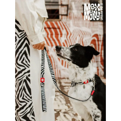 Max & Molly Ошейник для собак Smart ID зебра L
