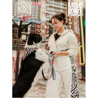 Max & Molly Ошейник для собак Smart ID зебра L