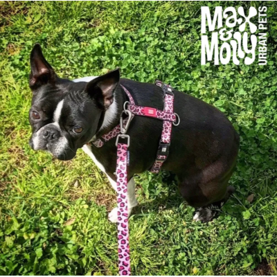 Max & Molly Н-образная шлейка Розовый леопард L