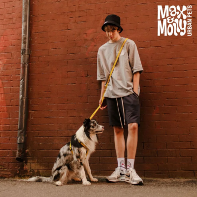 Max & Molly Н-образная шлейка Рулетка L