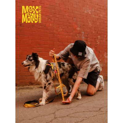 Max & Molly Н-образная шлейка Рулетка L