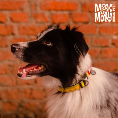 Max & Molly Н-образная шлейка Рулетка L