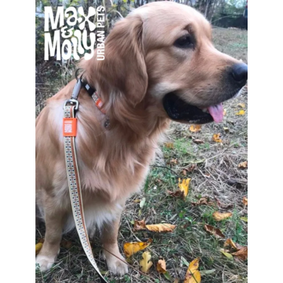 Max & Molly Ошейник для собак Smart ID Этнический L