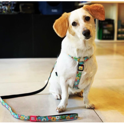 Max & Molly Н-образная шлейка Пончики M